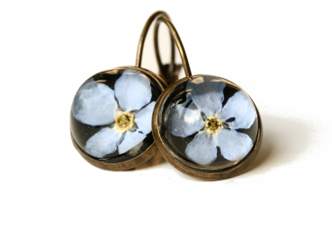 Ohrringe Vergissmeinnicht Antik Bronze im Vintage Style Gepresste Blüte hinter Glas als romantisches Geschenk für sie und für Verliebte